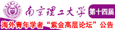 大力点使劲插美女视频南京理工大学第十四届海外青年学者紫金论坛诚邀海内外英才！